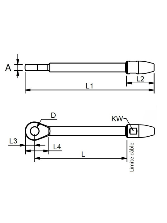 extended norseman eye