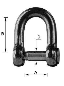forged Allen shackle