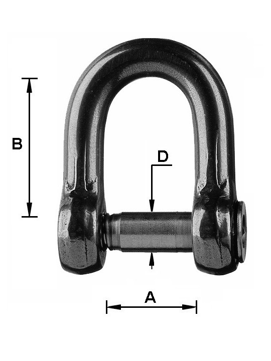 forged Allen shackle