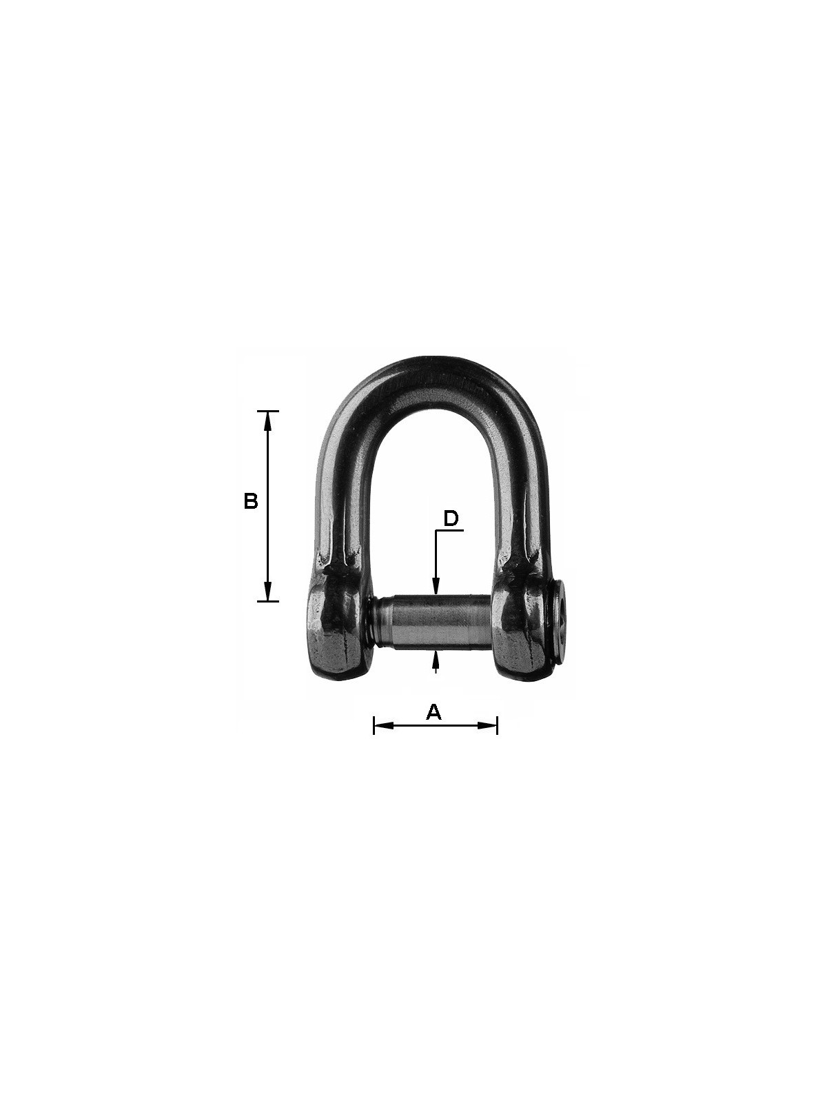 forged Allen shackle