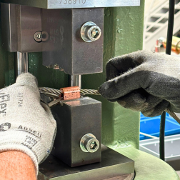 ¿ES USTED UN PROFESIONAL?